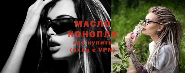 мет Елабуга