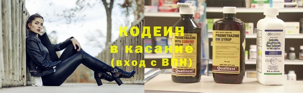 дурь Елизово