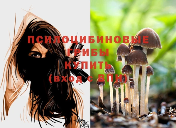 дурь Елизово