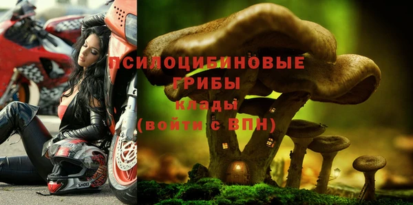 мет Елабуга