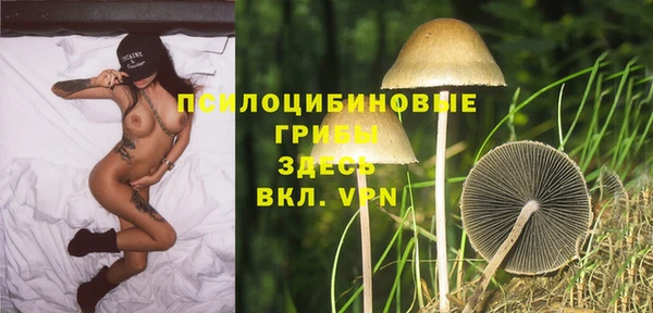 мет Елабуга