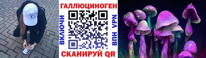ссылка на мегу как войти  Невинномысск  дарк нет официальный сайт  Галлюциногенные грибы мицелий 
